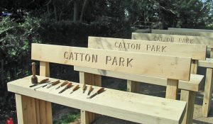 Park Benches with Hand Carved Lettering